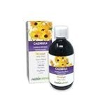Vergleich der besten Calendula-Salben von DM: Analyse von Online-Parapharmazieprodukten