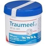 Analyse und Vergleich: Wann setzt die Wirkung von Traumeel Hund ein? Die besten Online-Parapharmazieprodukte im Test