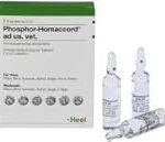 Phosphor Homaccord: Eine detaillierte Analyse der besten Online-Parapharmazieprodukte