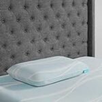 Der ultimative Vergleich: Die besten Online-Parapharmazieprodukte für Tempur All-Around Kissenbezüge