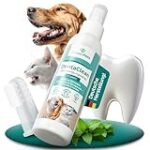 Dental Sprays für Katzen: Eine Analyse und Vergleich der besten Online-Parapharmazieprodukte