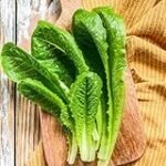 Titel: Analyse und Vergleich: Die besten Online-Parapharmazieprodukte für den Kauf von Basilikum Creme