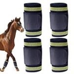 Equidigest im Test: Analyse und Vergleich der Top-Online-Parapharmazieprodukte