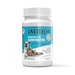 Vetgastril: Wie lange halten die besten Online-Parapharmazieprodukte?