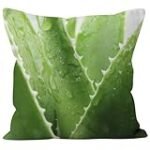 Top 5: Die besten Online-Parapharmazieprodukte - Aloe Vera Kissen im Test und Vergleich