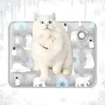 Top 5 Hundebetten 90 x 60 im Vergleich: Die besten Online-Parapharmazieprodukte für Ihren Vierbeiner