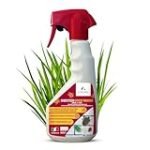 Die Top 5 Spezialsprays von Bayer im Vergleich: Analyse der besten Online-Parapharmazieprodukte