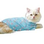 Hundebekleidung für große Hunde: Vergleich der Top-Produkte in Online-Parapharmazie-Shops