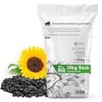 Vergleich der besten Online-Parapharmazien: Wo Sie am besten 25 kg Sonnenblumenkerne kaufen können
