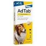 Analyse und Vergleich: Die besten Online-Parapharmazieprodukte für Simparica 80 mg ohne Rezept