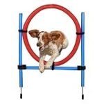 Agility-Reifen: Ein Vergleich der besten Online-Parapharmazieprodukte für maximale Leistung