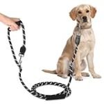 Doppelleine für 2 Hunde: Die besten Online-Parapharmazieprodukte im Vergleich