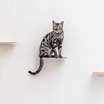 Die besten Produkte zur Behandlung von Eiterbeulen bei Katzen: Eine Analyse und Vergleich der Top-Online-Parapharmazieprodukte